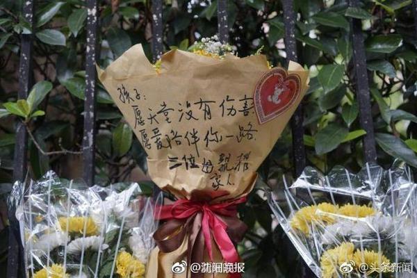 新的尝试👀队记：太阳新赛季计划让杰伦